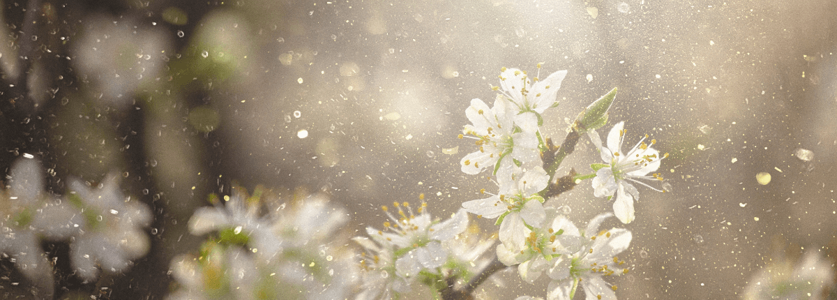 Managing Spring Allergies_ Comprehensive Eye Care Strategies